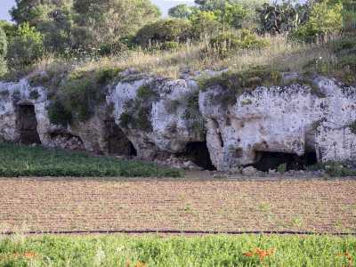 Proseguiamo per circa 200 metri, superando un grande campo coltivato in cui figurano anche numerose grotte scavate nella roccia...